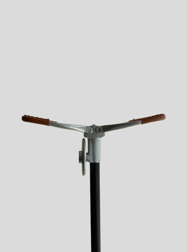 IMG_8899 Height-Adjustable Walking Stick